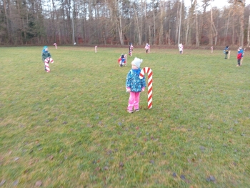 IMG-20241214-WA0446