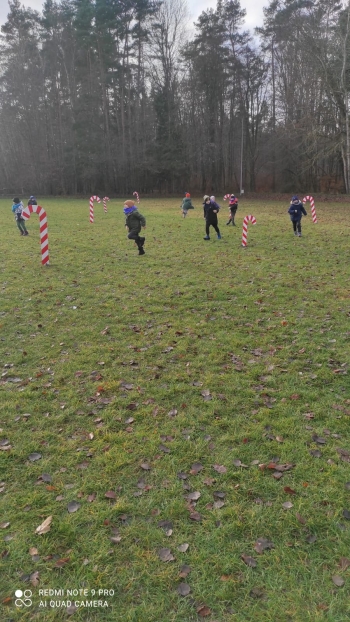 IMG-20241215-WA0006