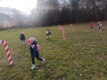 IMG-20241214-WA0150