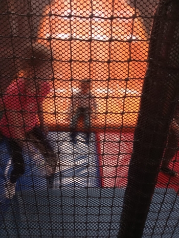 IMG-20250310-WA0094