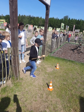 IMG-20250616-WA0052