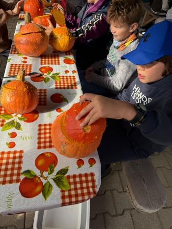 WhatsApp Image 2026-09-22 at 20.12.26 (2).jpeg