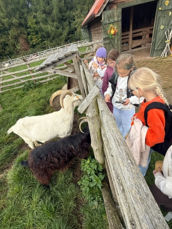 WhatsApp Image 2026-09-22 at 20.12.31 (1).jpeg