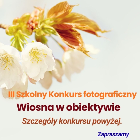 III szkolny konkurs fotograficzny WIOSNA W OBIEKTYWIE